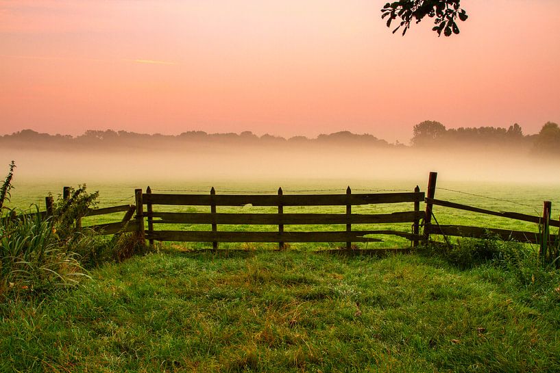 Mist achter het hek by Celine