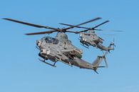 Twee Bell AH-1Z Viper gevechtshelikopters komen binnen om te worden bijgetankt op NAF El Centro. van Jaap van den Berg thumbnail