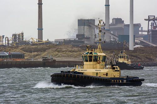 Sleeboten in de haven IJmuiden door de storm en wind.