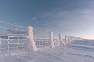 clôture gelée. en laponie Finlande 2020 par Robinotof Aperçu