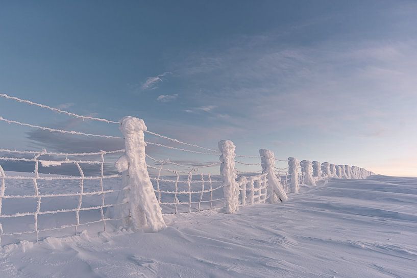 gefrorener Zaun. in Lappland Finnland 2020 von Robin van Maanen
