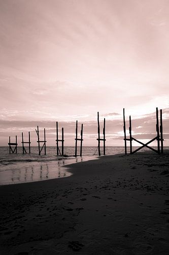 Zwart / roze aanlegsteiger op Texel