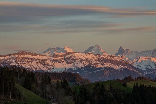 Alpenglühen der Berner Alpen aus dem Emmental