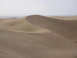 Zandduinen in Gran Canaria Dunas de Las Palomas