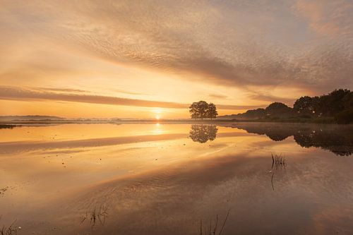 Sunrise on a misty morning over a fens
