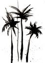 Ink Palm Trees van Stephanie Franken thumbnail