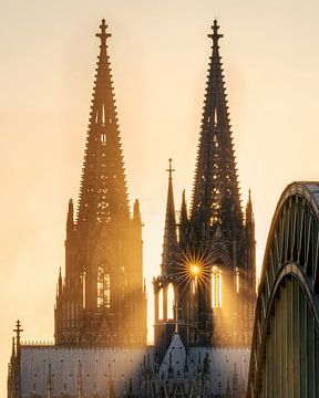 Cologne Cathedral, North Rhine-Westphalia, Germany by Alexander Ludwig