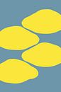 lemons by Kim Karol / Ohkimiko thumbnail