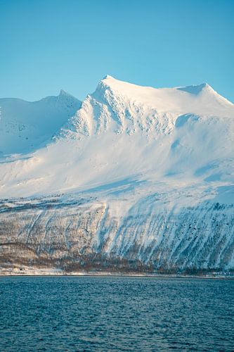 Zonsondergang bij Tromso in de winter