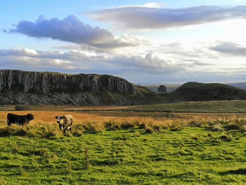 Le calme récurrent après le chaos