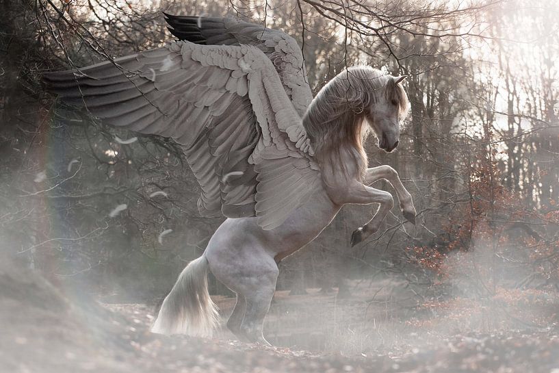 Pegasus-Fantasie von Pixel Rebel