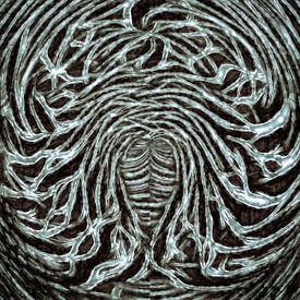 GOOR abstracten profielfoto