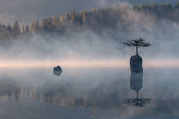 Ruhiger Morgen von Jacco van Son