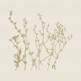 Flowers in beige on soft cream texture by Dina Dankers