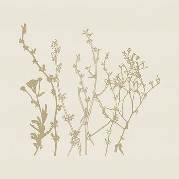 Bloemen in beige op zachte crèmetextuur van Dina Dankers