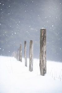 Holzpfosten im Schnee von Kristof Ven