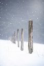 poteaux en bois dans la neige par Kristof Ven Aperçu
