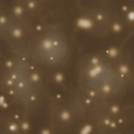 Dispersion des graines sur BVDART