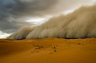 Sandstorm! by Peter Vruggink thumbnail