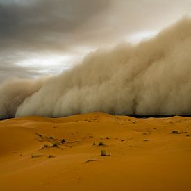 Zandstorm! van Peter Vruggink