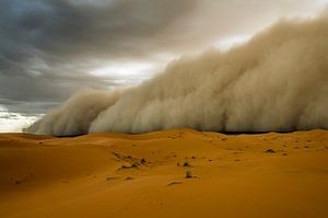 Tempête de sable ! sur Peter Vruggink