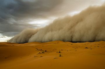 Zandstorm! van Peter Vruggink