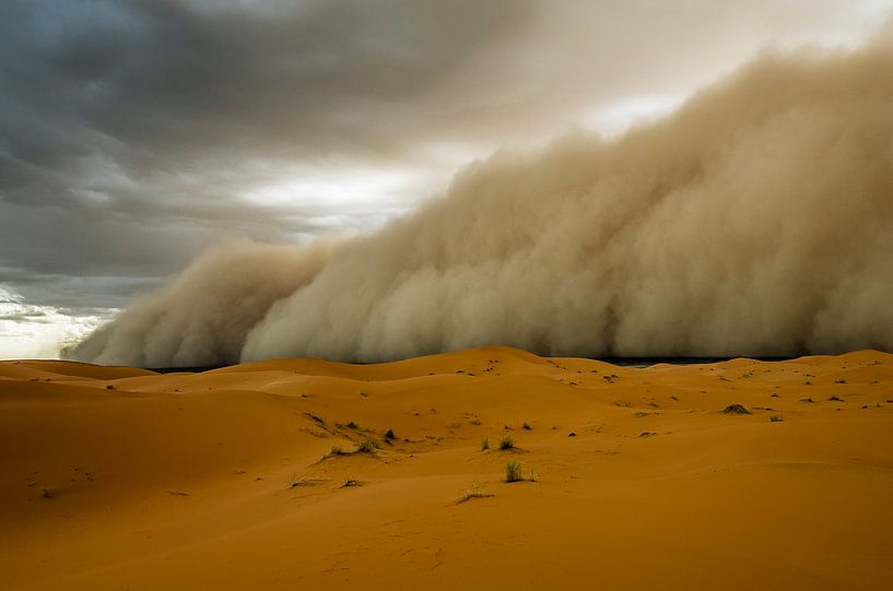 Sandstorm! by Peter Vruggink