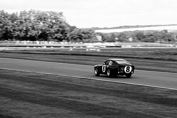 Vintage race 8 van Jaap Ros