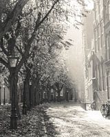 Oasis dans la vieille ville : Hooglandse Kerkgracht à Leiden