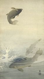 Carp, Ohara Koson