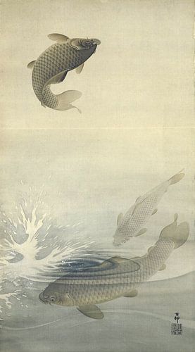 Karpers, Ohara Koson