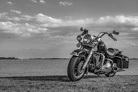 Harley Davidson in Black and White by anne droogsma