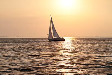 Sailing on the IJsselmeer with sunset in the Netherlands by Eye on You