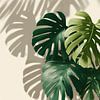 monstera Pflanze Schatten Overlay-Effekt von Ariadna de Raadt-Goldberg
