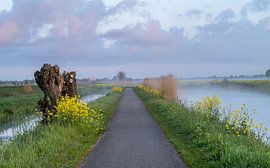 Binnenveldse Hayfields - 4