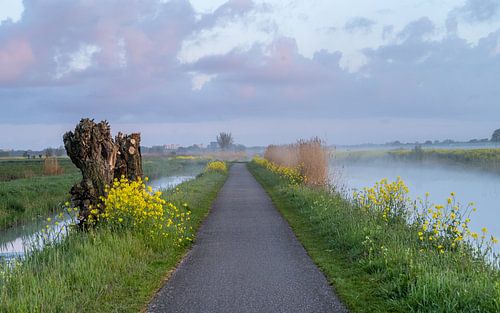 Binnenveldse Hooilanden - 4