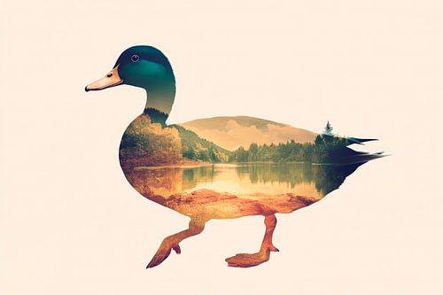 Relaxed duck landscape by Poster Art Shop