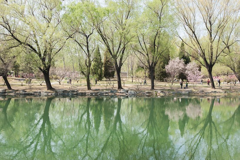 Imperial gardens by Andrew van der Beek