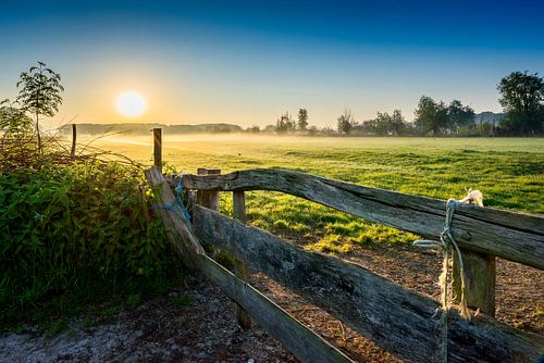 Zonsopkomst Bieslandse Polder Klein Delfgauw