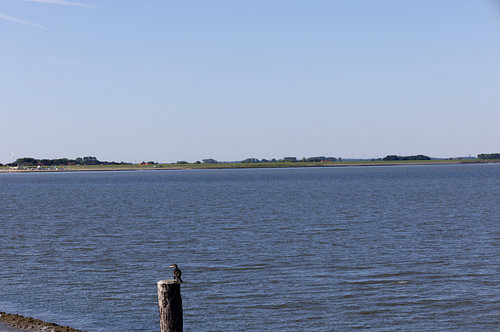 Pictures of Spiekeroog, an East Frisian island in the North Sea.