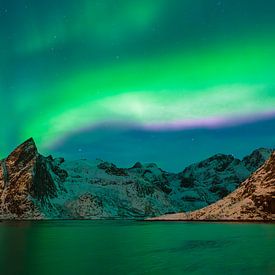 Noorderlicht boven fjord op de Lofoten, Noorwegen van Chris Stenger