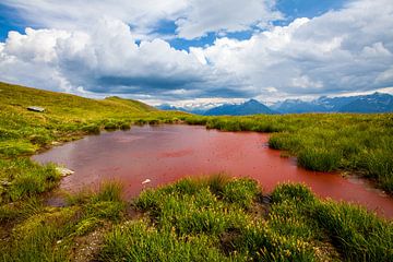 A red puddle in Stuhlfelden by Christa Kramer