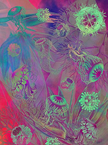 zeeleven #ocean live