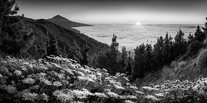 Landschaft auf der Insel Teneriffa in schwarzweiss