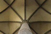 Plafond symétrique Mont Saint-Michel par Thijs van den Broek Aperçu