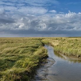 Moerasland op het schiereiland Eiderstedt bij de vuurtoren van Westerhever van Peter Eckert