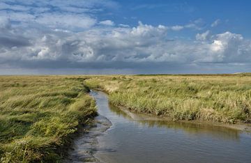 Marshland on the Eiderstedt peninsula near the Westerhever lighthouse by Peter Eckert