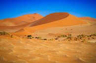Sossusvlei Namibia by Antwan Janssen thumbnail