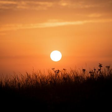 Zonsondergang over de heide van Hans Broeksteeg