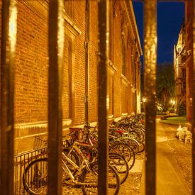 Studentenstad Cambridge, fietsen achter hek van Stefania van Lieshout